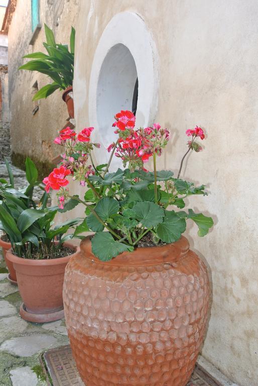 B&B Casa Antonia Trentinara Exterior foto